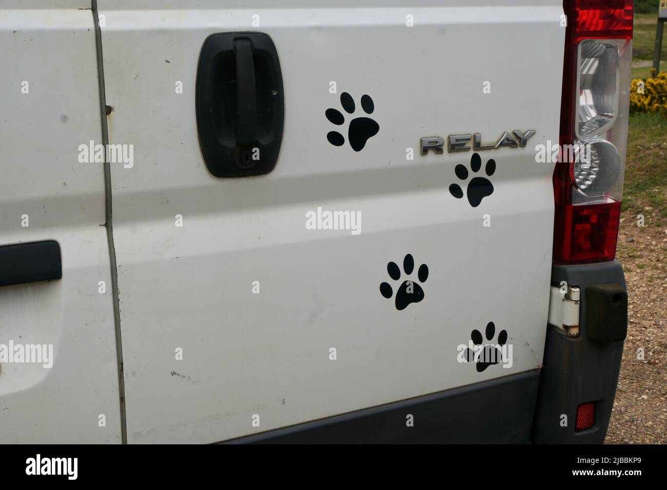 van decorated with dog paw prints Stock Photo