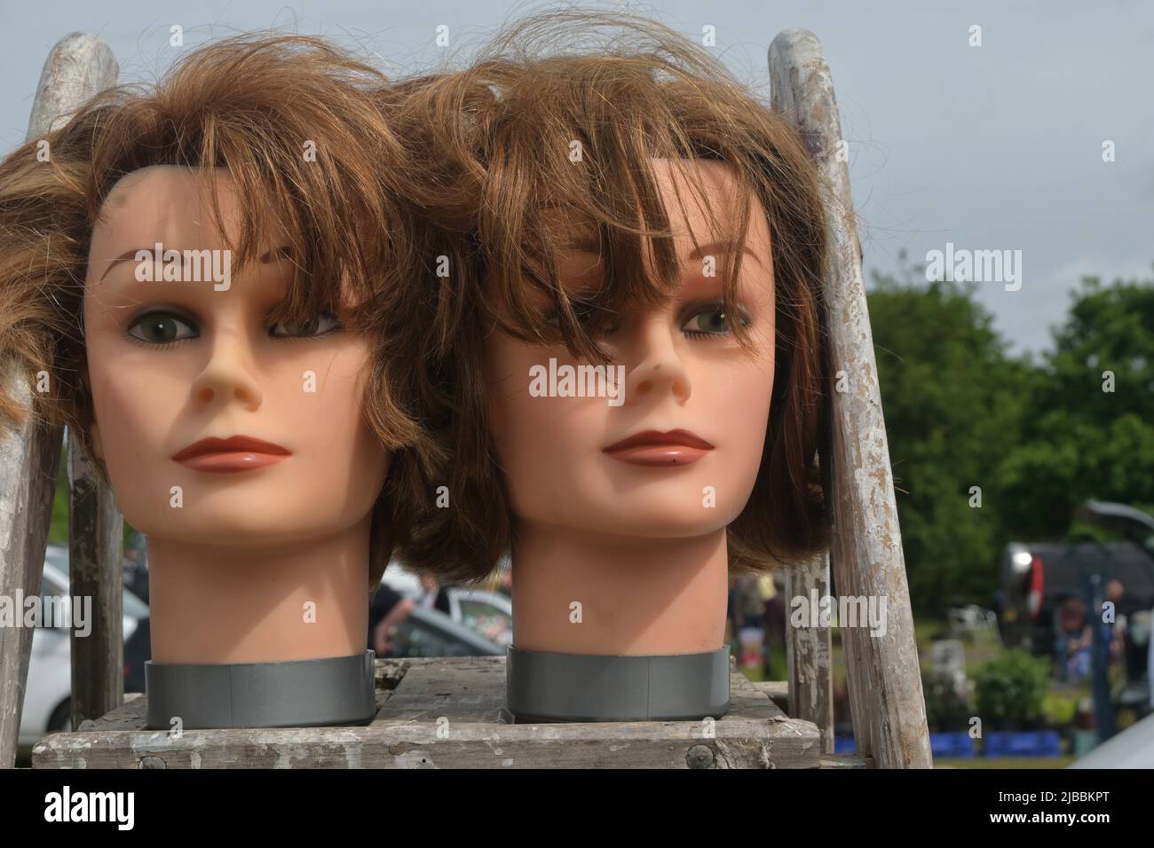hairdressing mannquin heads, england Stock Photo