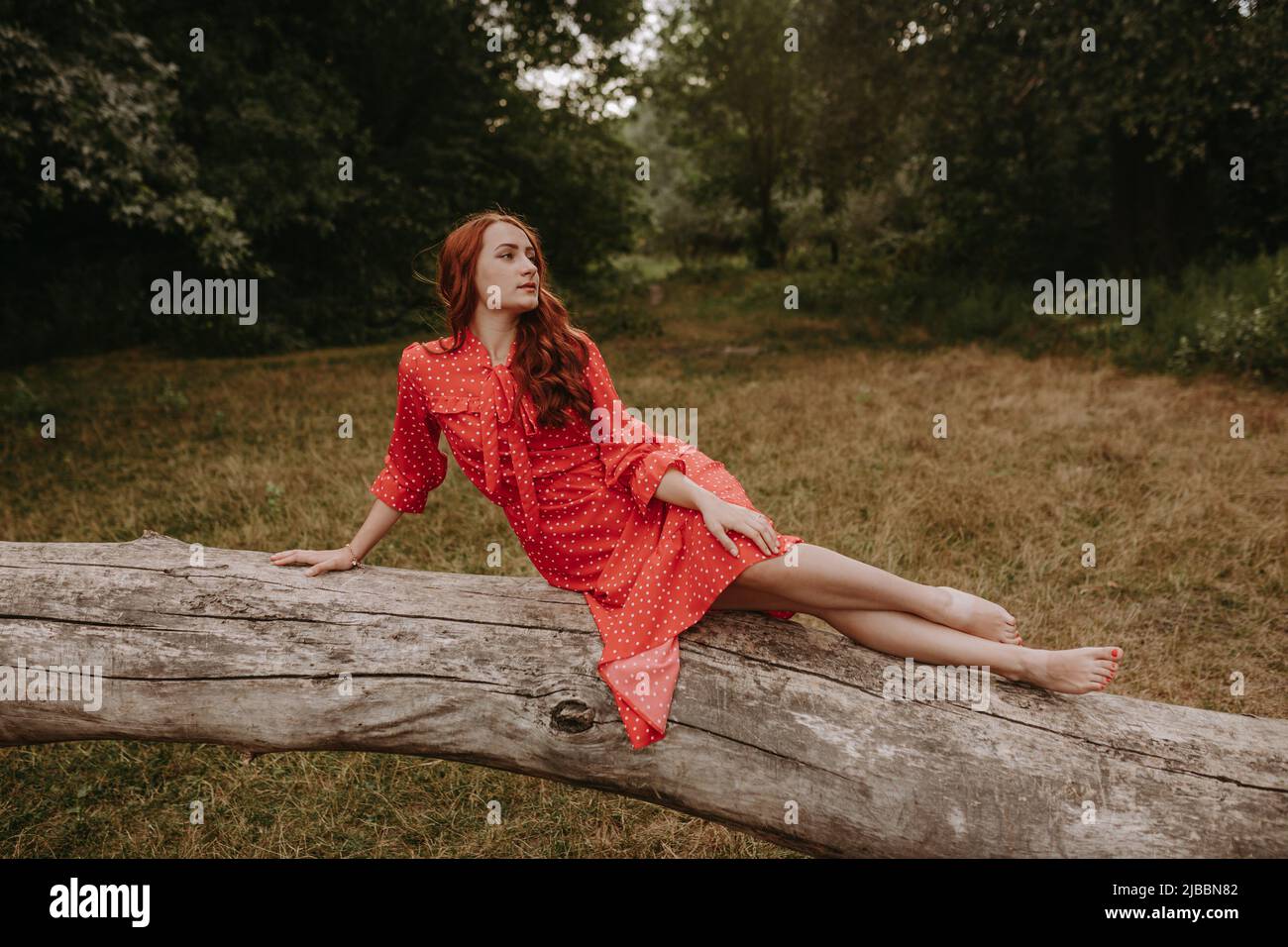 a young and beautiful woman in a red summer dress with white flecks lying on one side a fallen dry tree trunk in the middle of the forest Stock Photo