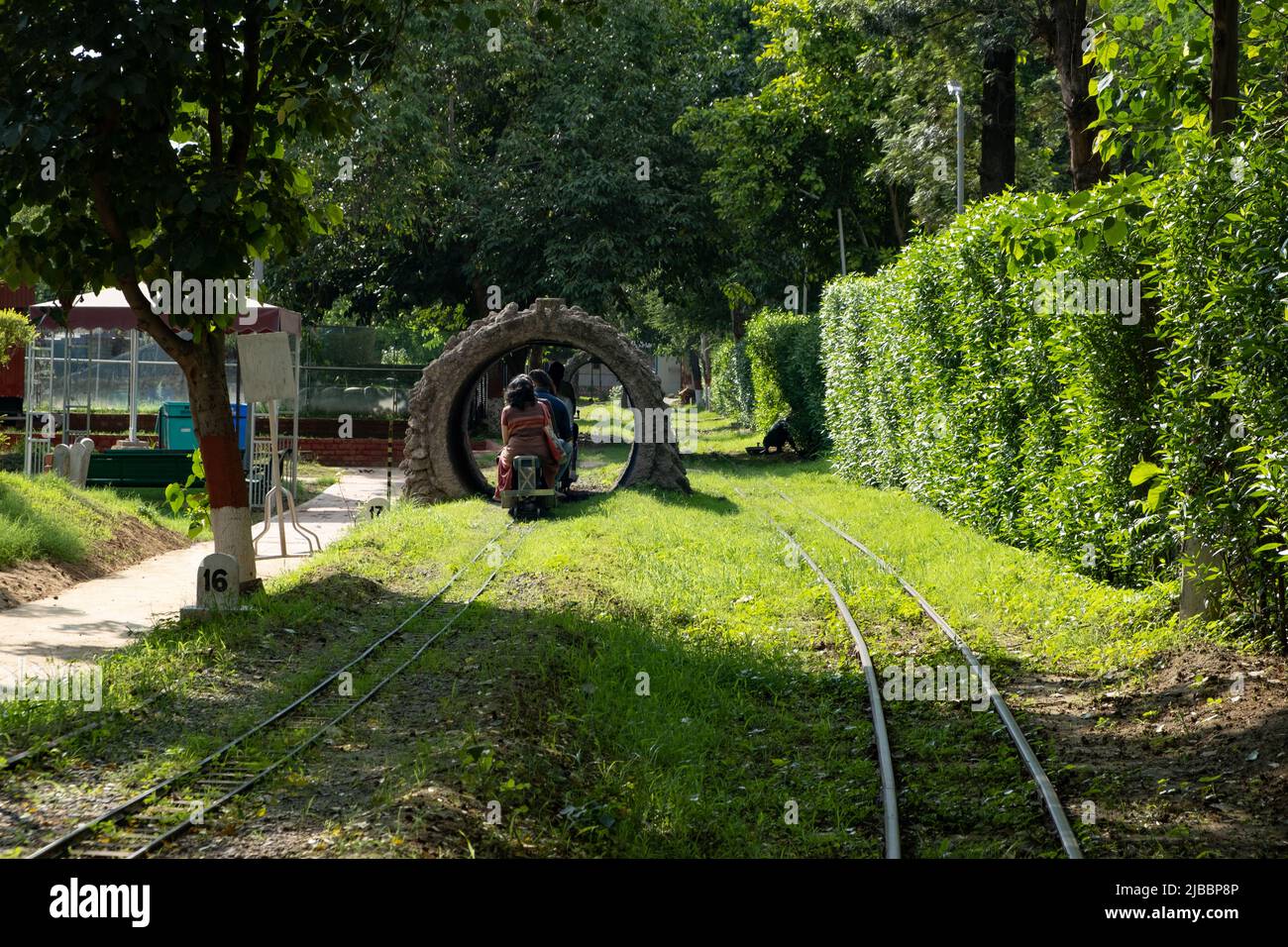 Passengers enjoy toy train ride at the National Railway Museum, Delhi