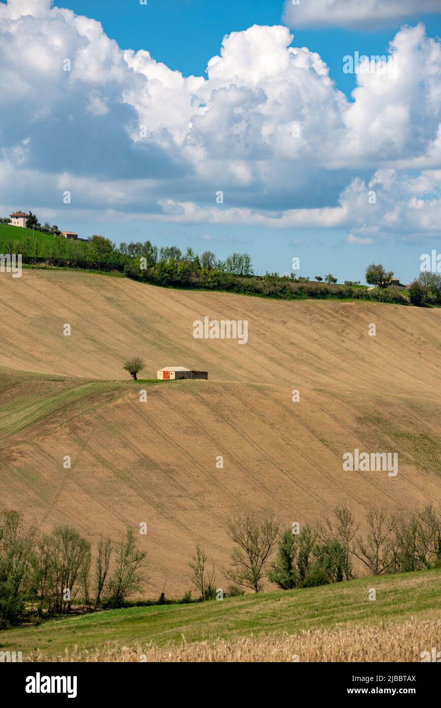 Marche Region, Italy. Rural landscape Stock Photo