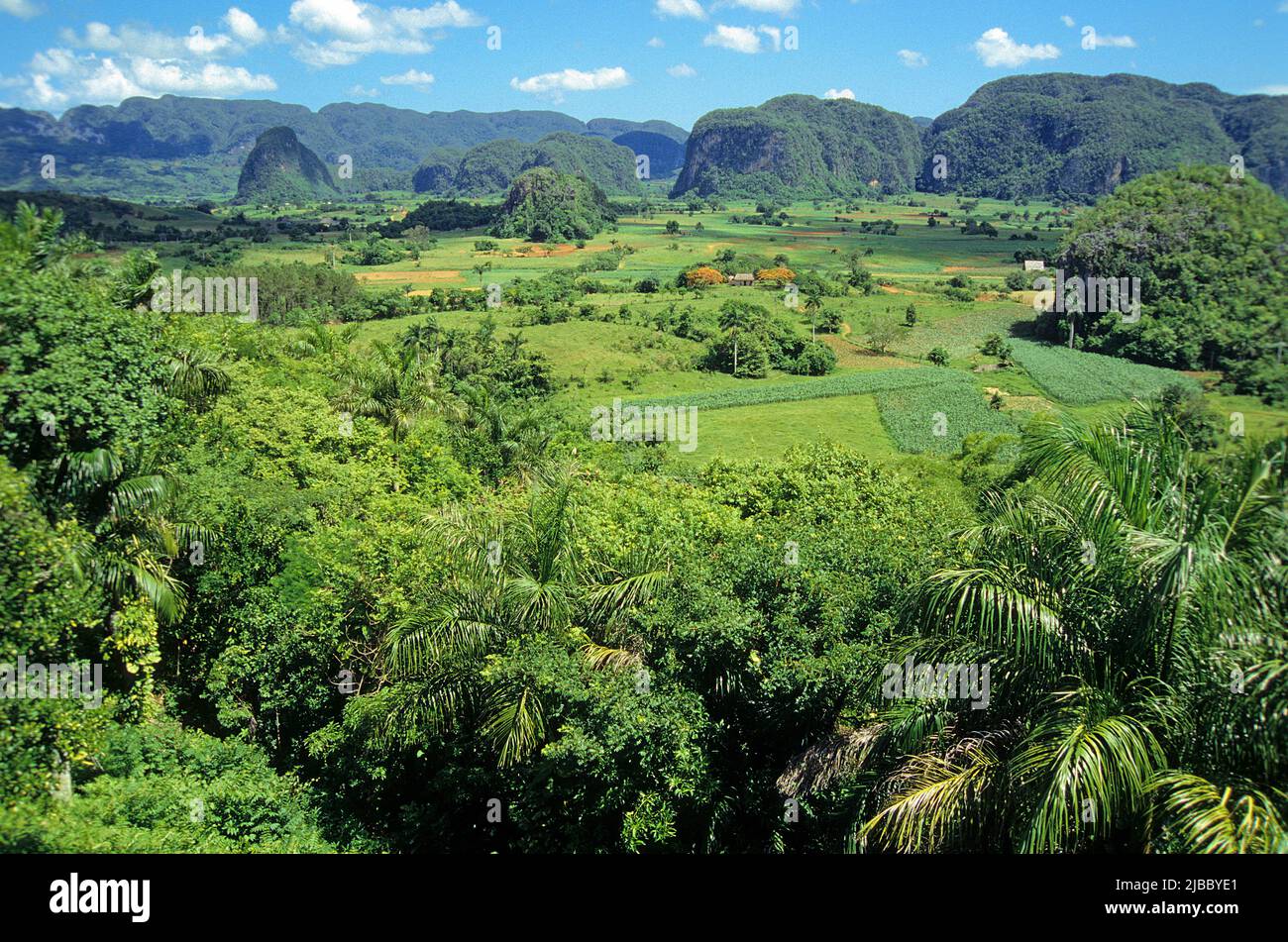 Valle de Vinales, beautiful landscape in western Cuba, Pinar del Rio, Habana, Cuba, Caribbean Stock Photo