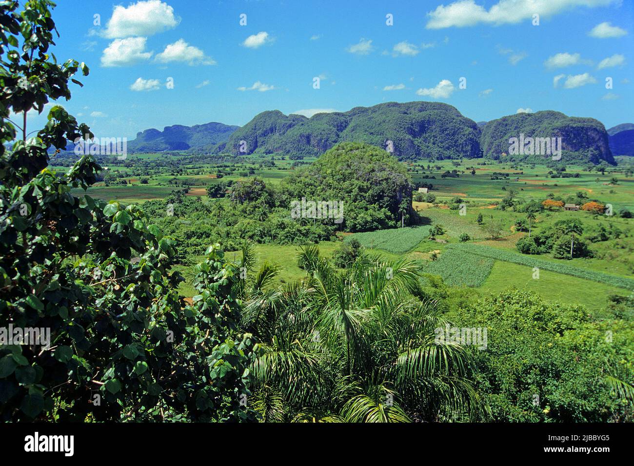 Valle de Vinales, beautiful landscape in western Cuba, Pinar del Rio, Habana, Cuba, Caribbean Stock Photo
