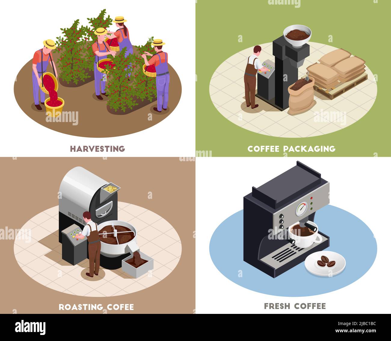 Coffee industry production concept 4 isometric icons square with harvesting roasting packaging
