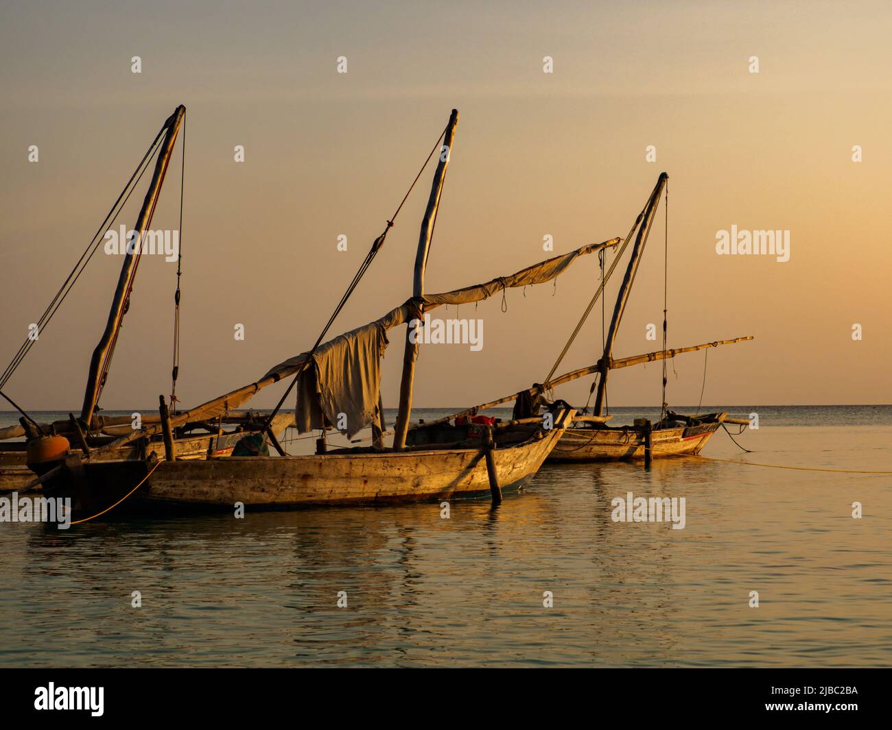Traditional dhow boats during sunset time., Zanzibar, Tanzania, Africa