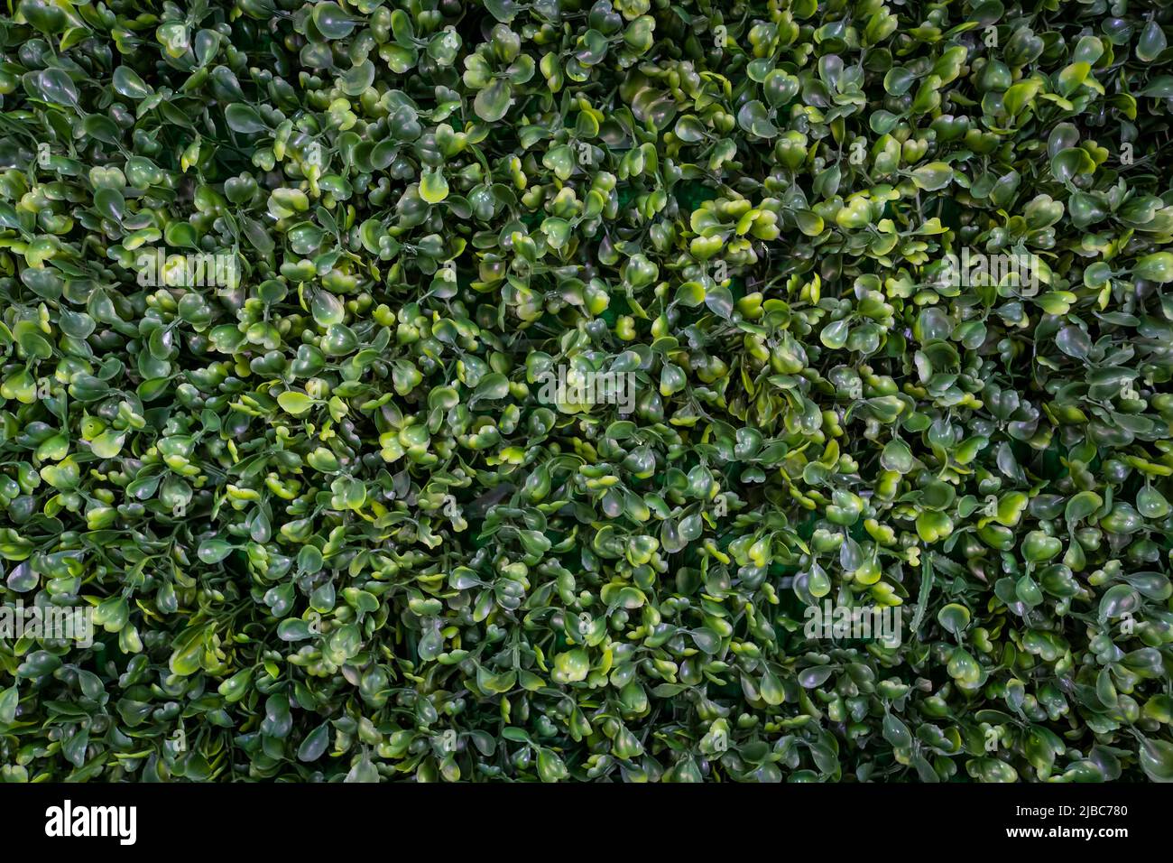 Decorative artificial green grass texture background. plastic artificial small leaves Stock Photo
