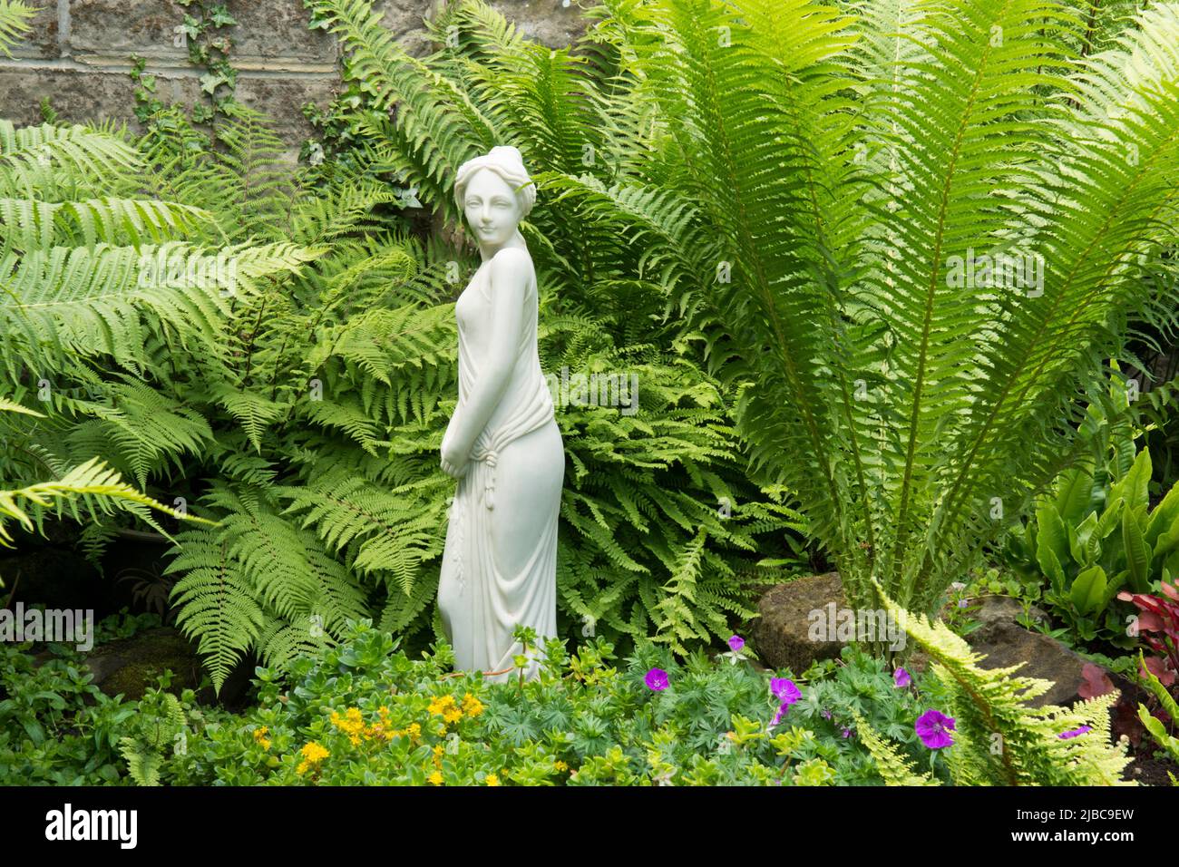Shuttlecock fern, Ostrich Fern, Ostrich-Feather Fern, Matteuccia struthiopteris, marble, alabaster, statue, statuary, woman, lady, female. fernery, Stock Photo