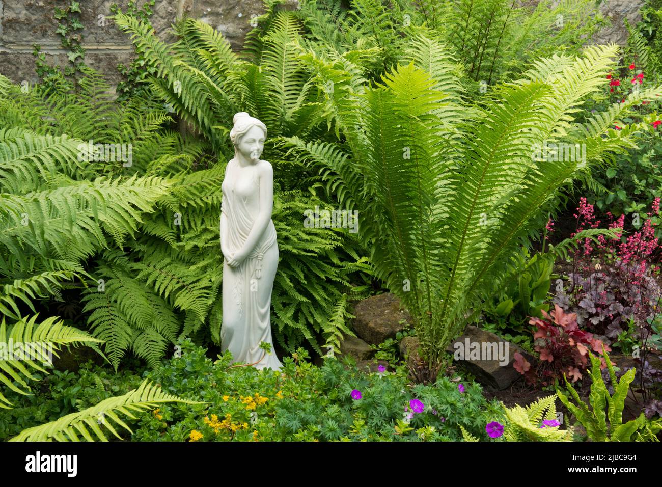 Shuttlecock fern, Ostrich Fern, Ostrich-Feather Fern, Matteuccia struthiopteris, marble, alabaster, statue, statuary, woman, lady, female. fernery, Stock Photo