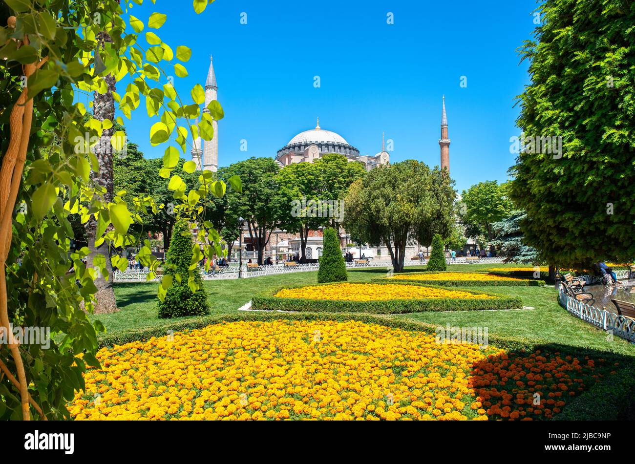 View of the Blue Mosque from the park in Istanbul Stock Photo