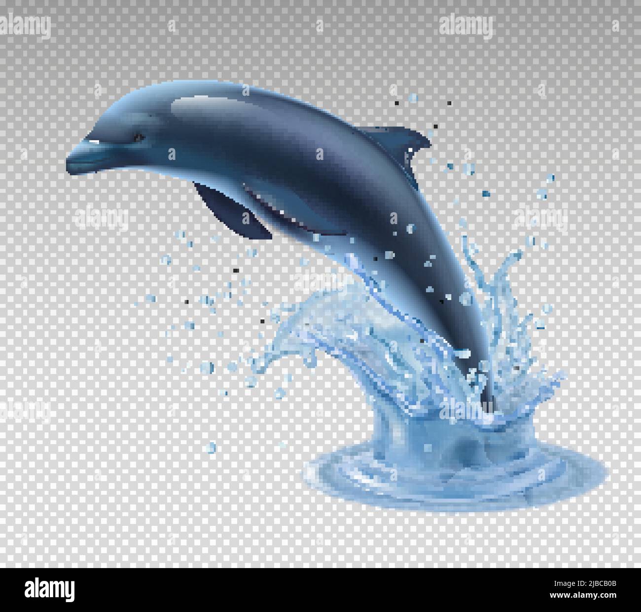 Jumping dolphin on transparent background realistic and colored icon