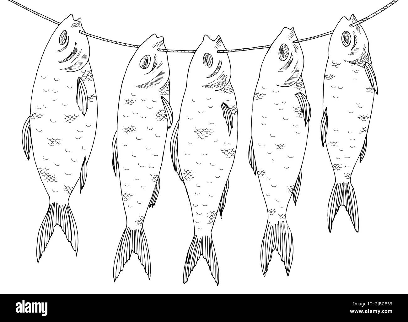 Fish is drying on the rope graphic black white sketch illustration vector Stock Vector