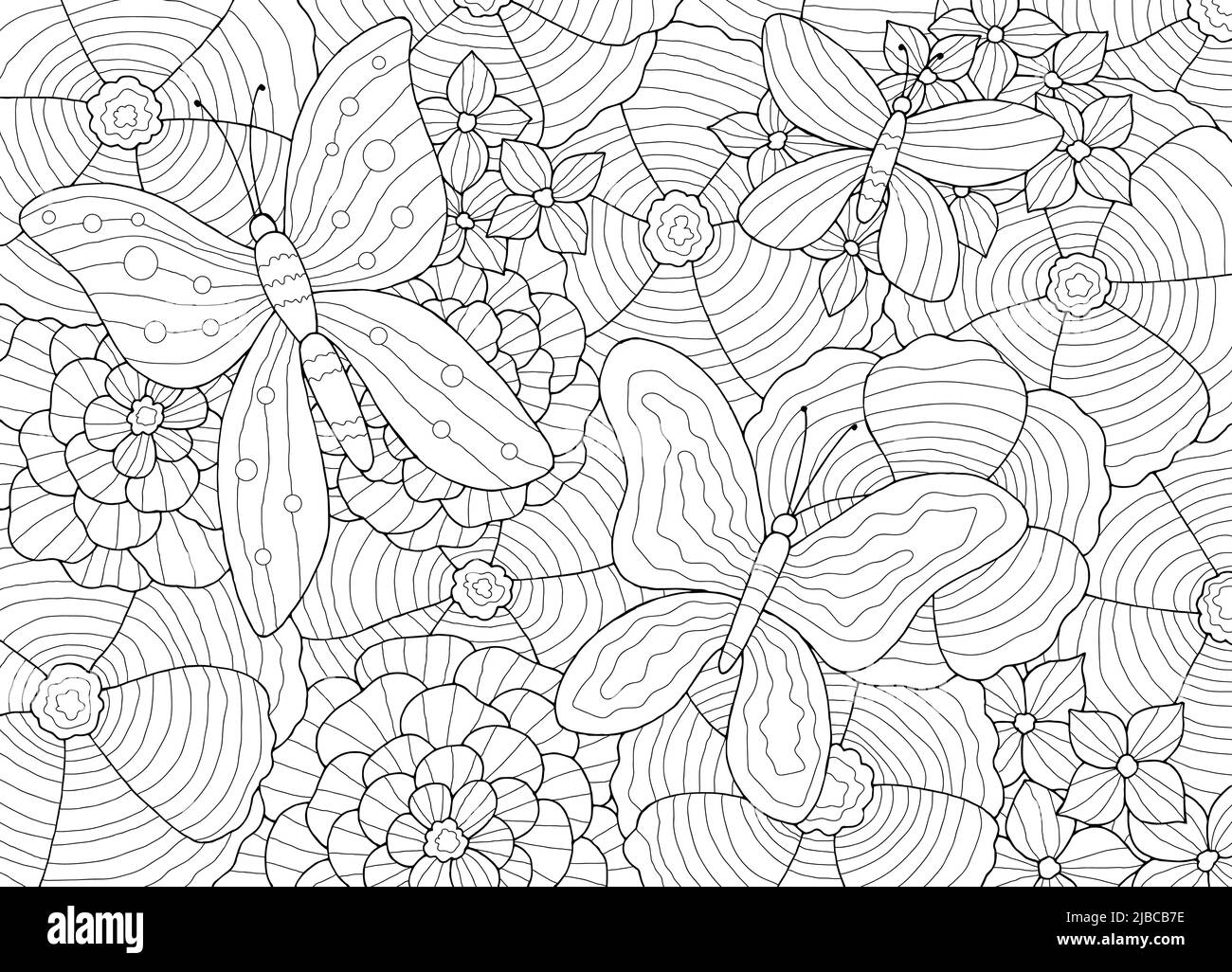 Butterfly flower coloring graphic black white sketch illustration