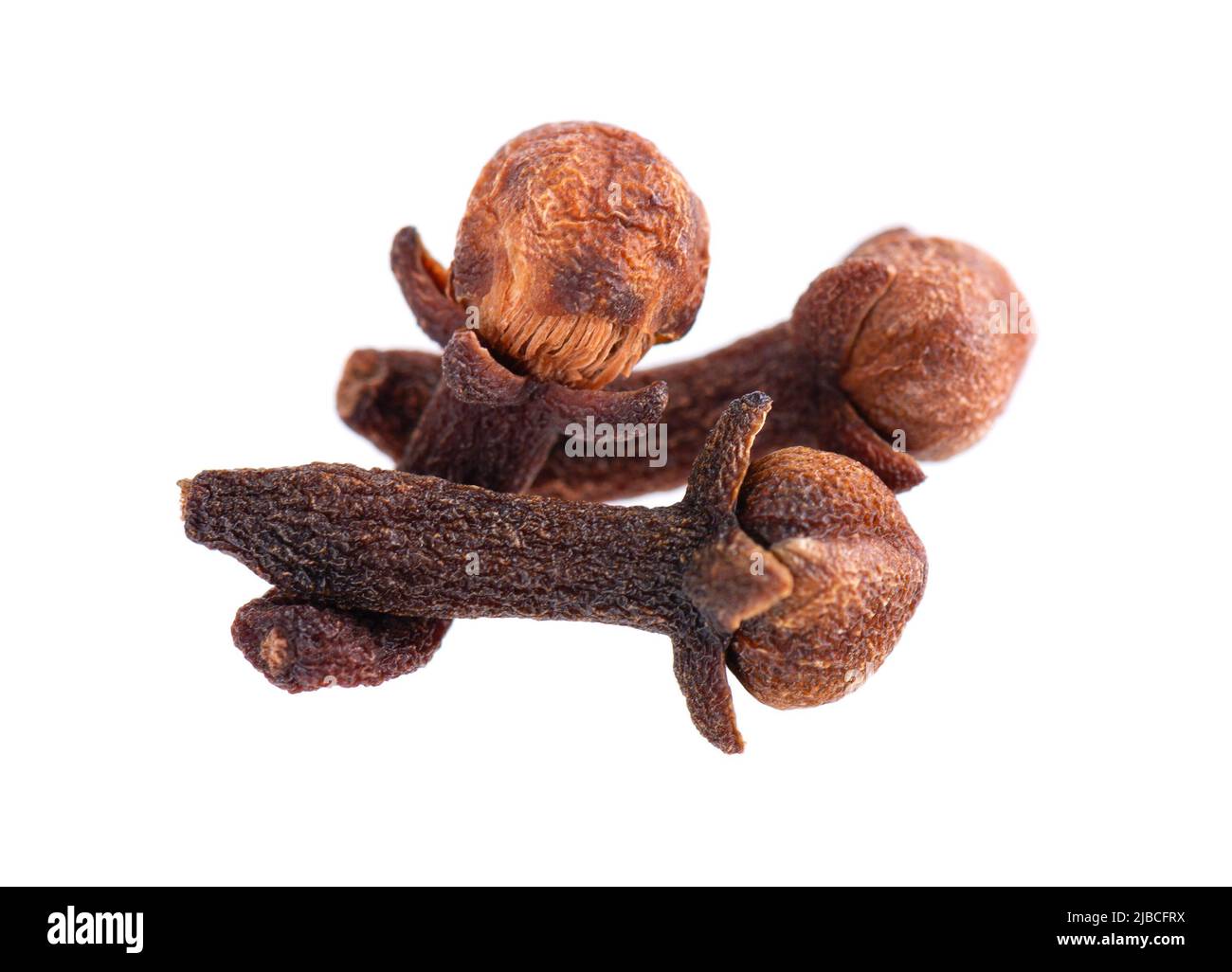 Dry cloves isolated on white background. Cloves spice. Spices and herbs