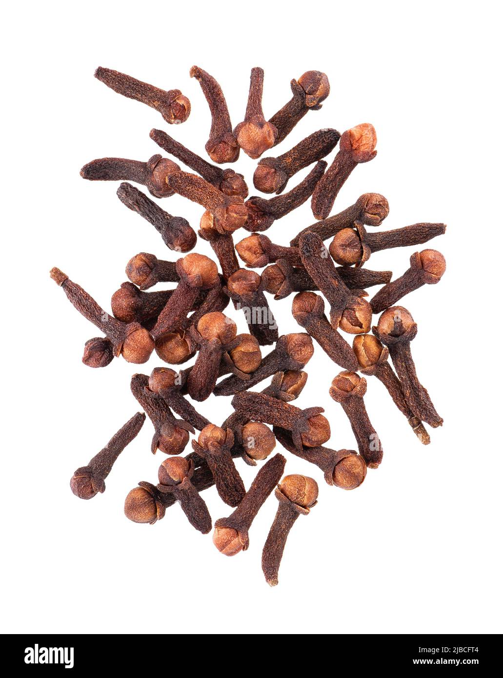 Dry cloves isolated on white background. Cloves spice. Spices and herbs