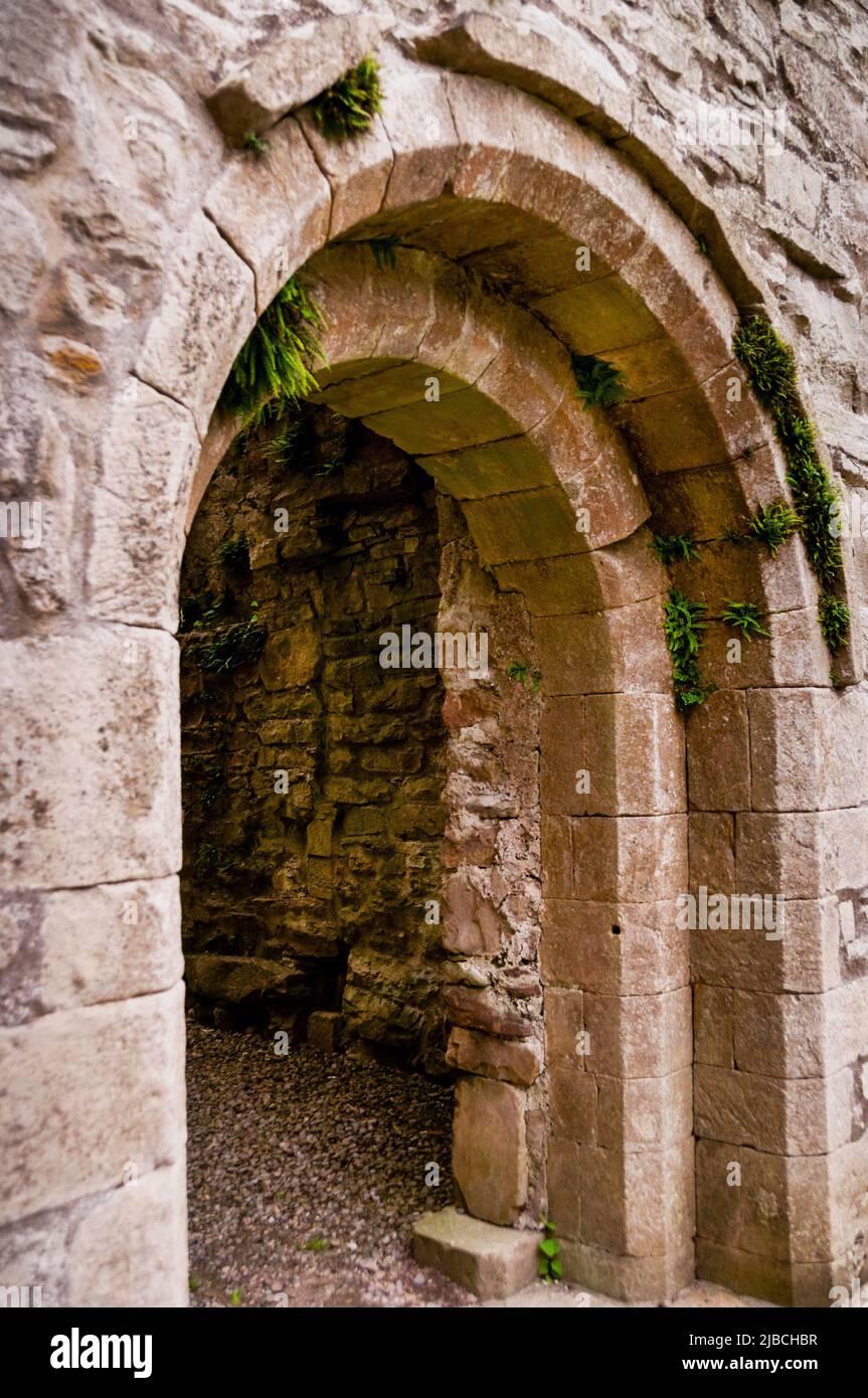 Boyle abbey hi-res stock photography and images - Alamy