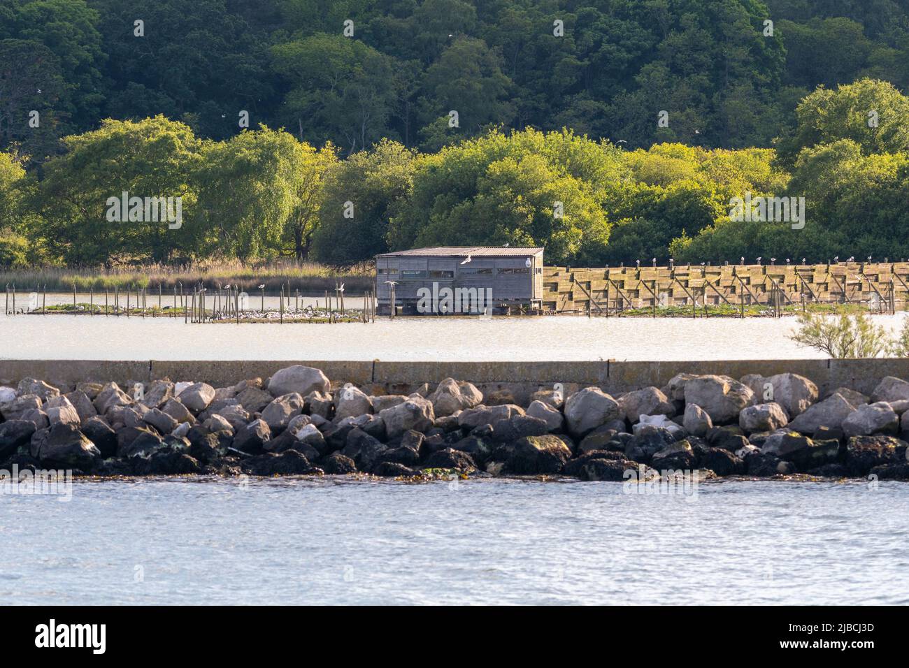 View of a bird-watching hide on Brownsea Island overlooking the lagoon, from Poole Harbour, Dorset, England, UK Stock Photo