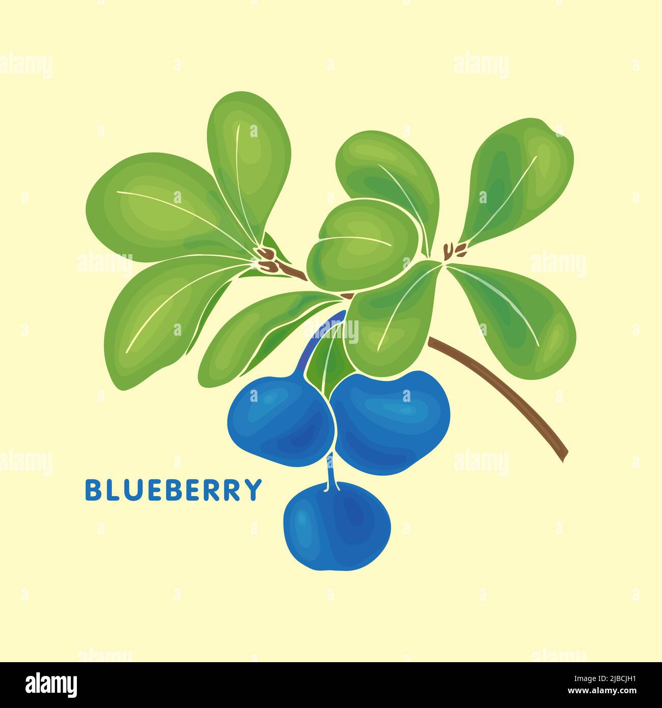 Blueberry Vaccinium uliginosum bog bilberry, bog blueberry. Hand drawn sketch NO contour. Vector illustration Stock Vector