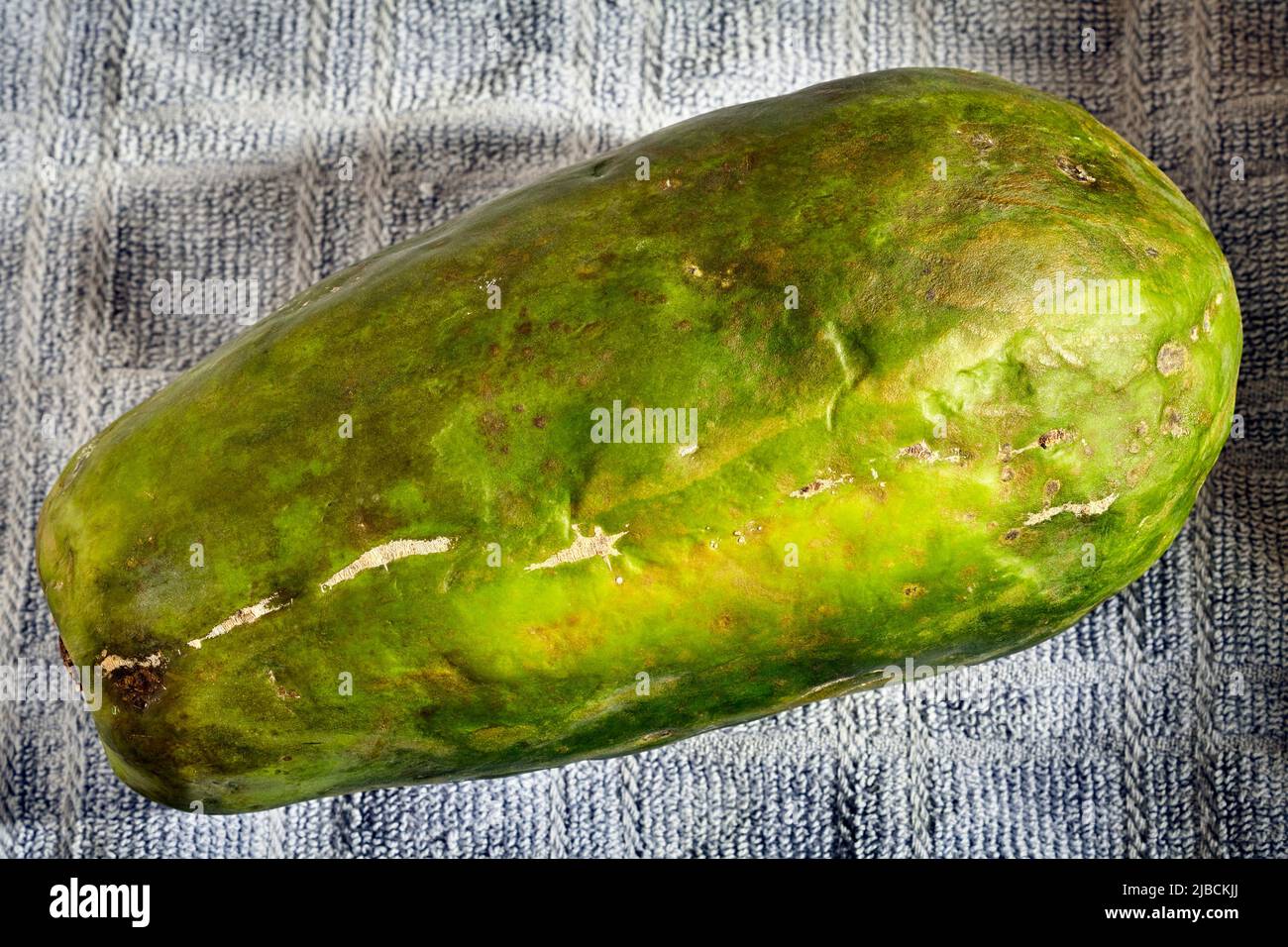 Whole Green papaya Stock Photo Alamy