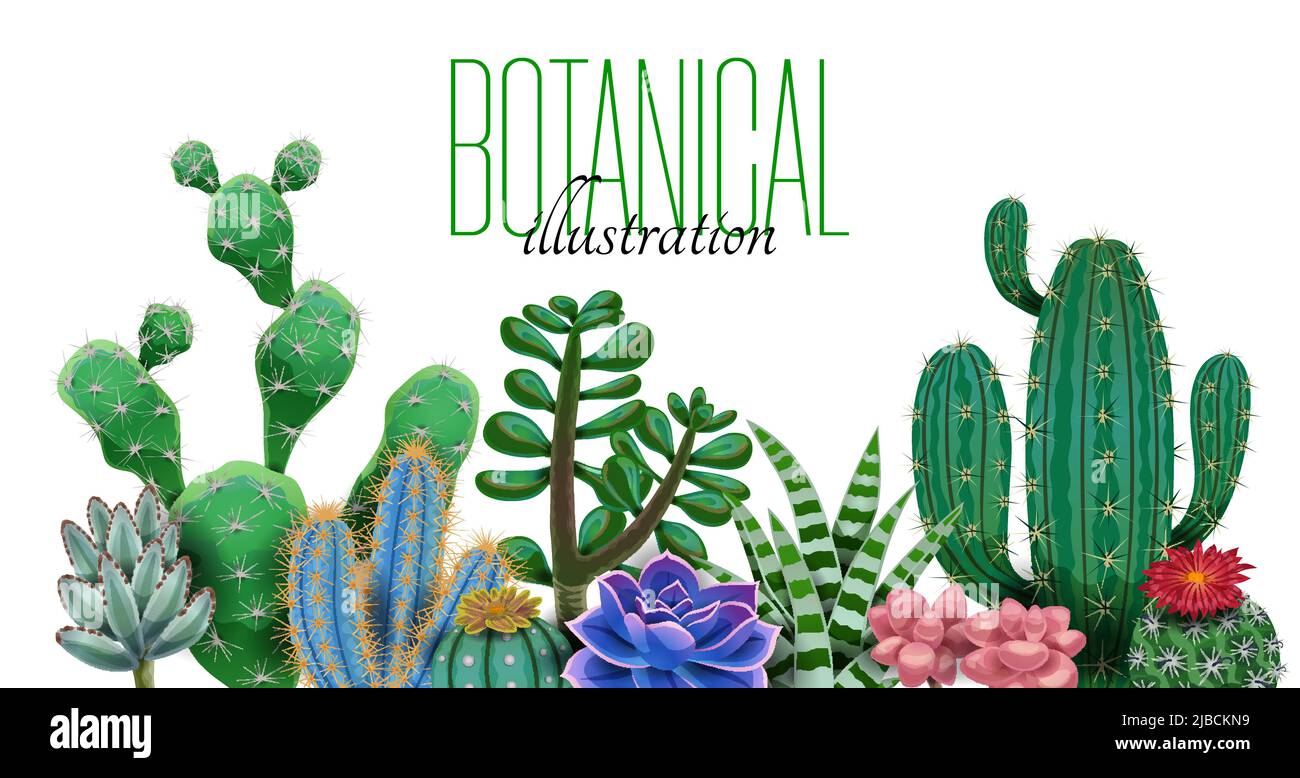 Cactus composition with editable ornate text and images of cactus ...