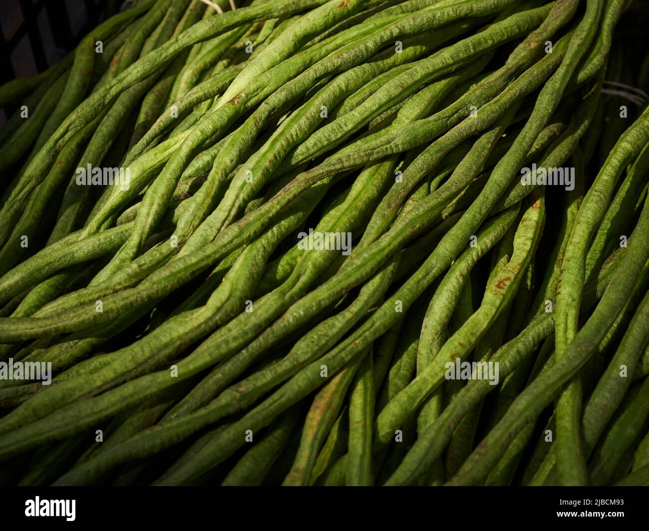 A sidewalk display of fresh, whole long beans. Little Guyana, Liberty Avenue, Queens, New York, USA Stock Photo