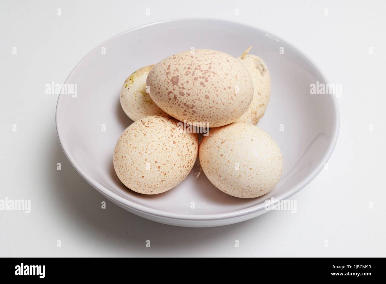 Fresh Turkey Eggs on a white background Large speckled eggs (egg shells) Stock Photo