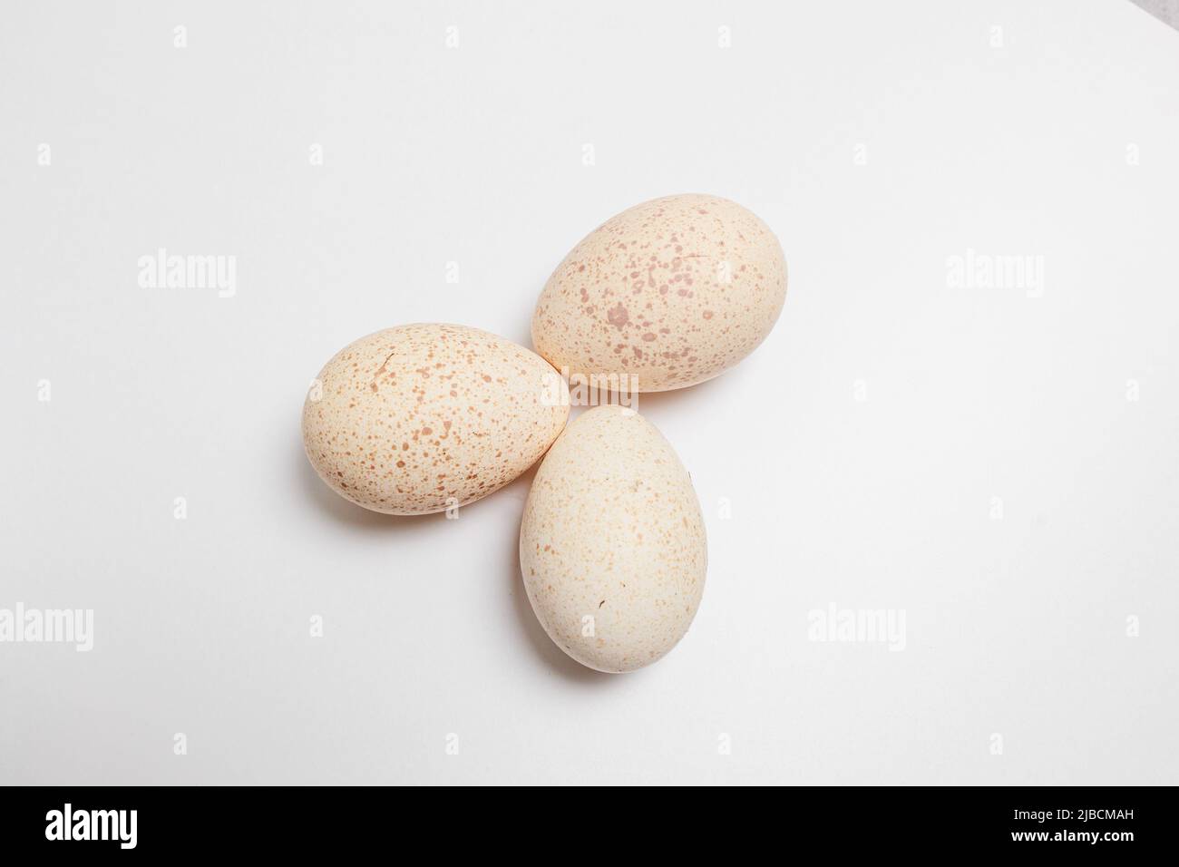 Speckled eggs hi-res stock photography and images - Alamy