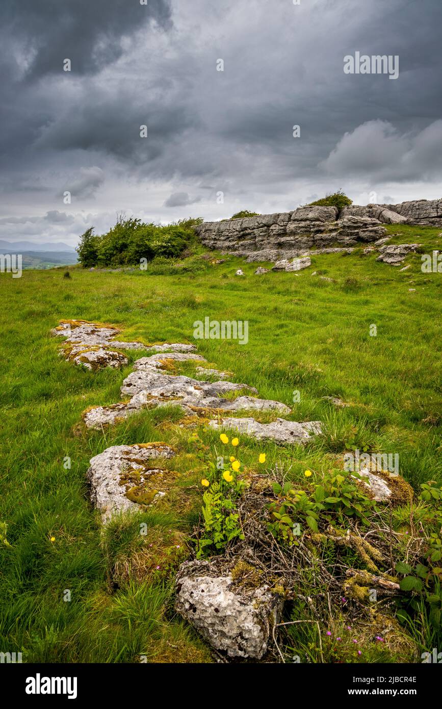 The Limestone Pavement of Hampsfell, Lake District, England Stock Photo