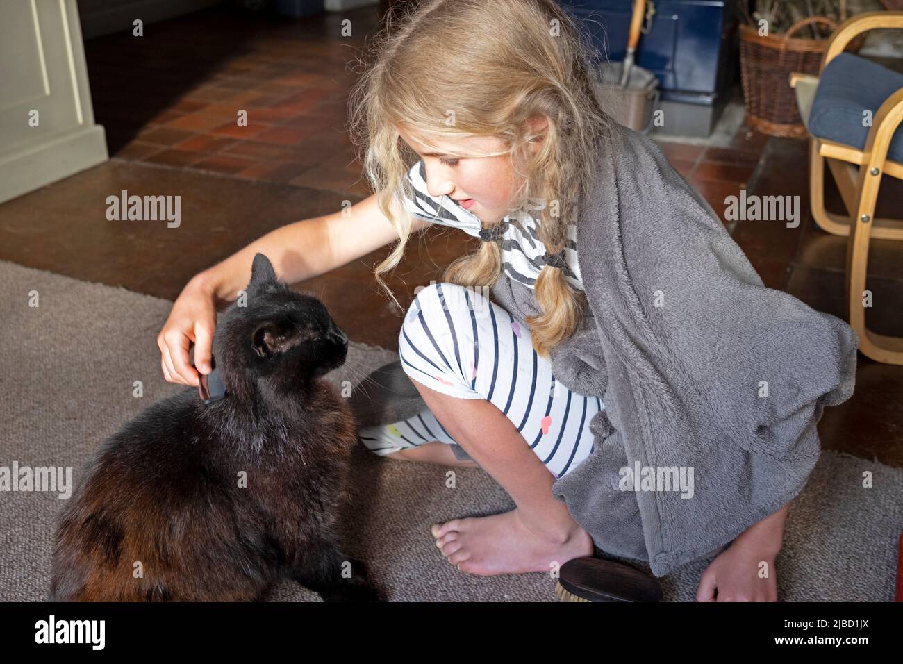 Girl 8 cat lover kneeling at home in house smiling, combing fur,  grooming and stroking fluffy black Norwegian Forest cat UK  KATHY DEWITT Stock Photo