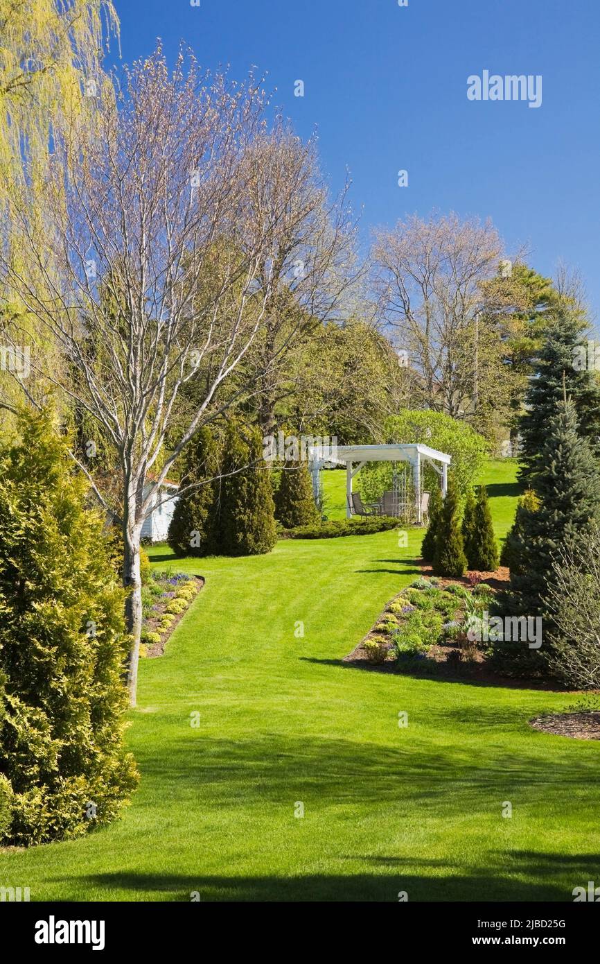 Trimmed evergreen trees and borders with shrubs plus white pergola in sloped backyard garden in spring. Stock Photo