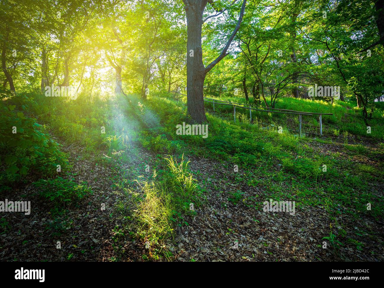 Sun rays passing through smoke hi-res stock photography and images - Alamy