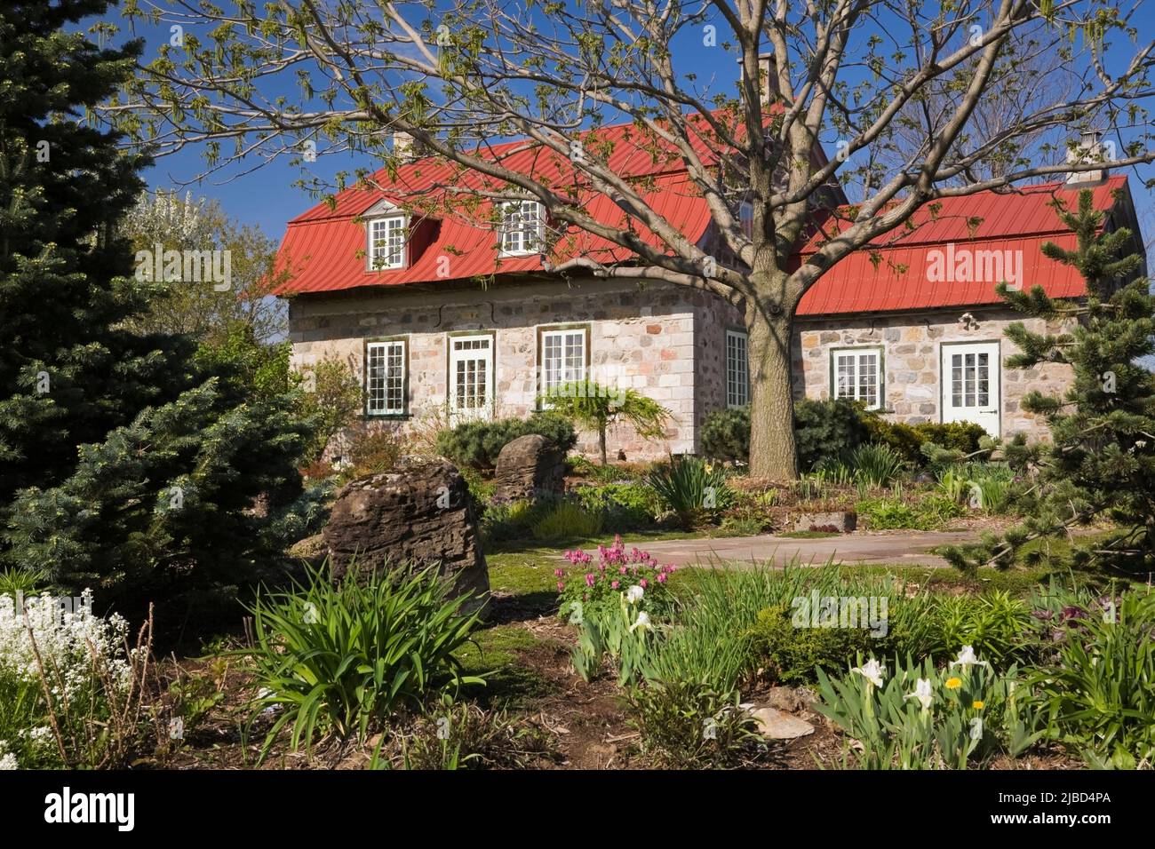 Old 1838 Canadiana fieldstone cottage style home with red sheet metal roof and landscaped front yard garden in spring. Stock Photo
