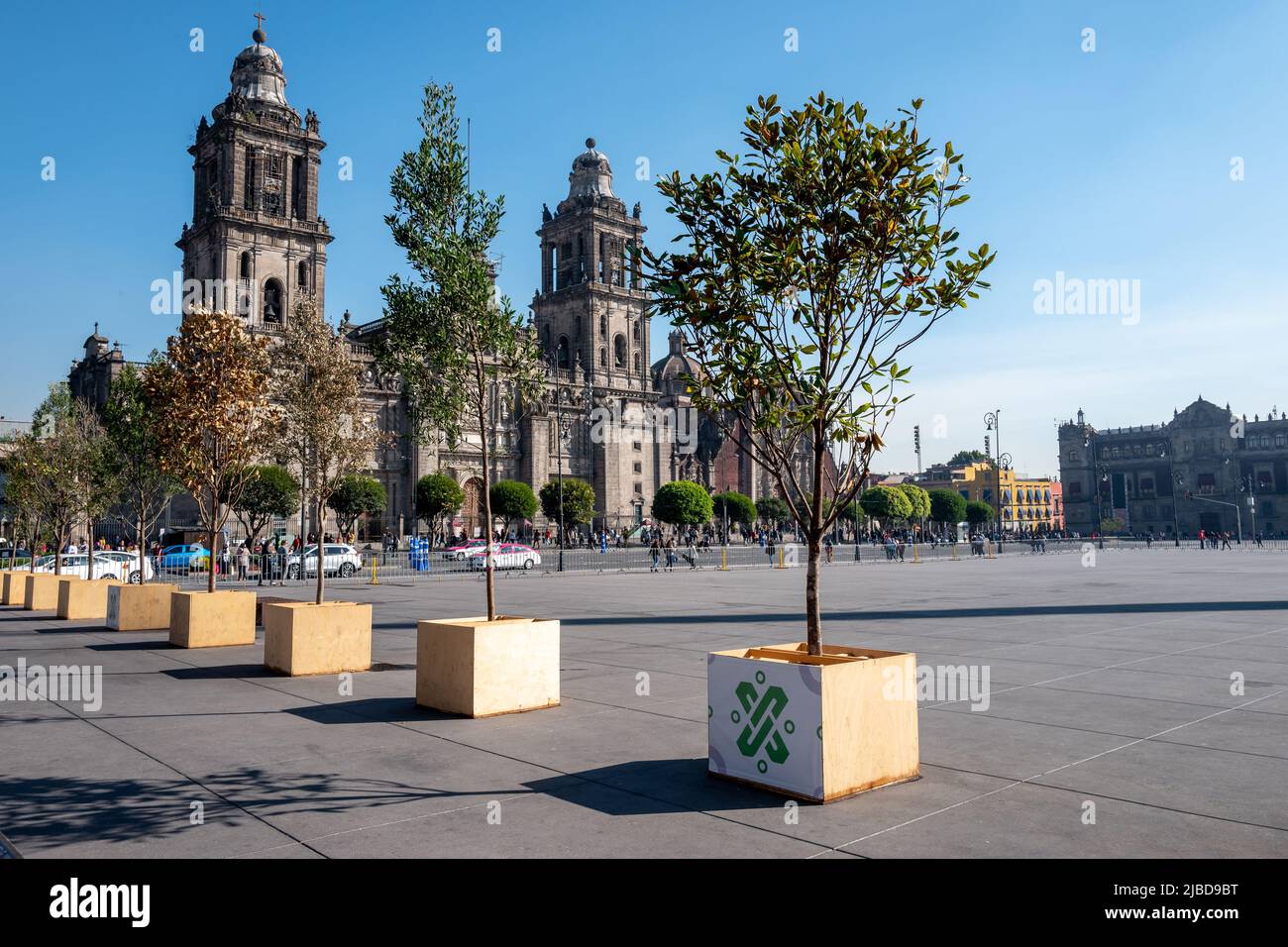 Mexico City, January 19th 2019 The Metropolitan Cathedral of the