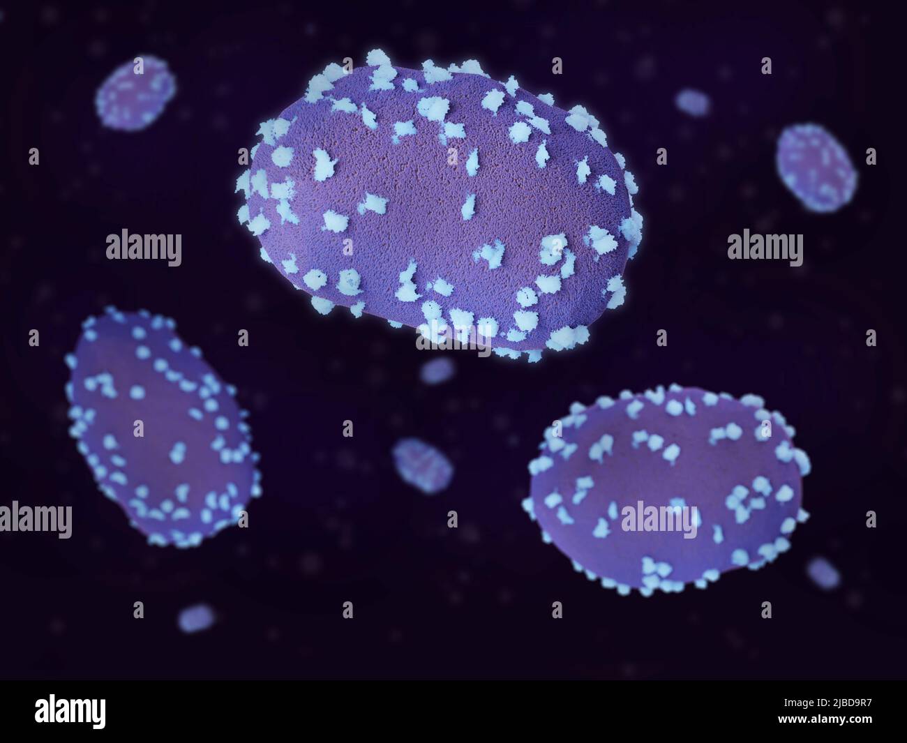 Monkeypox virus particles, illustration Stock Photo