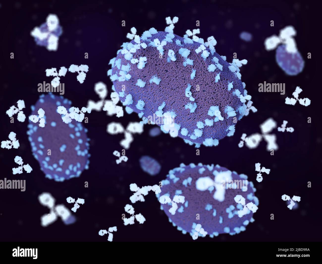 Antibodies attacking monkeypox viruses, illustration Stock Photo - Alamy