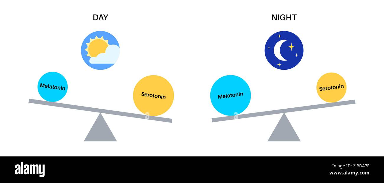 Sleep wake cycle, illustration Stock Photo - Alamy