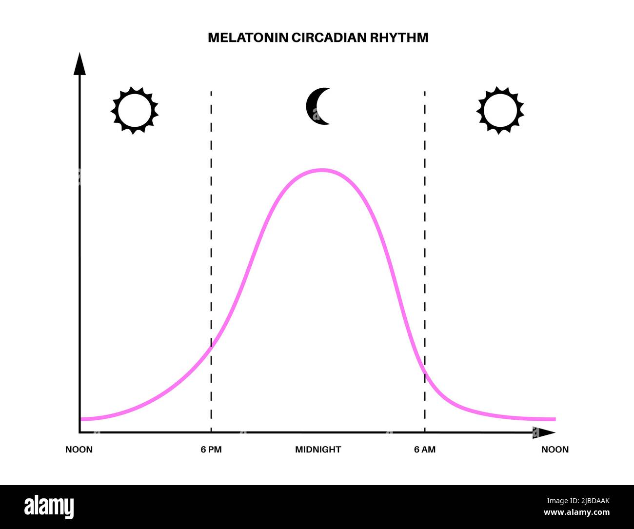 Melatonin and Circadian Rhythms. Цикл пробуждение