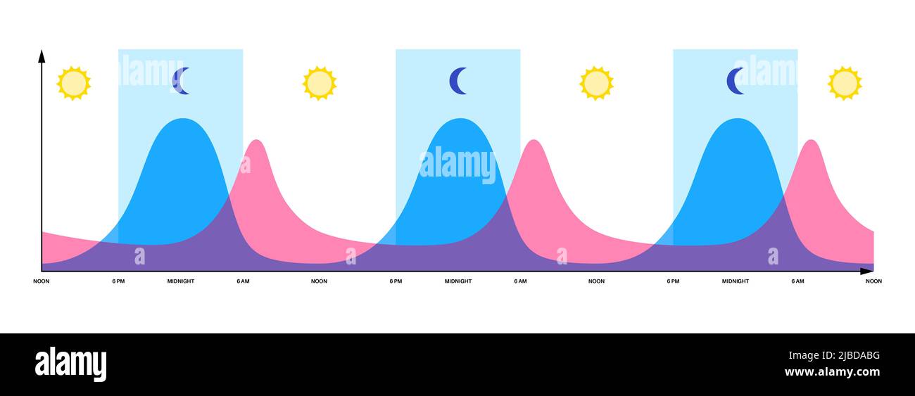 Sleep wake cycle, illustration Stock Photo - Alamy