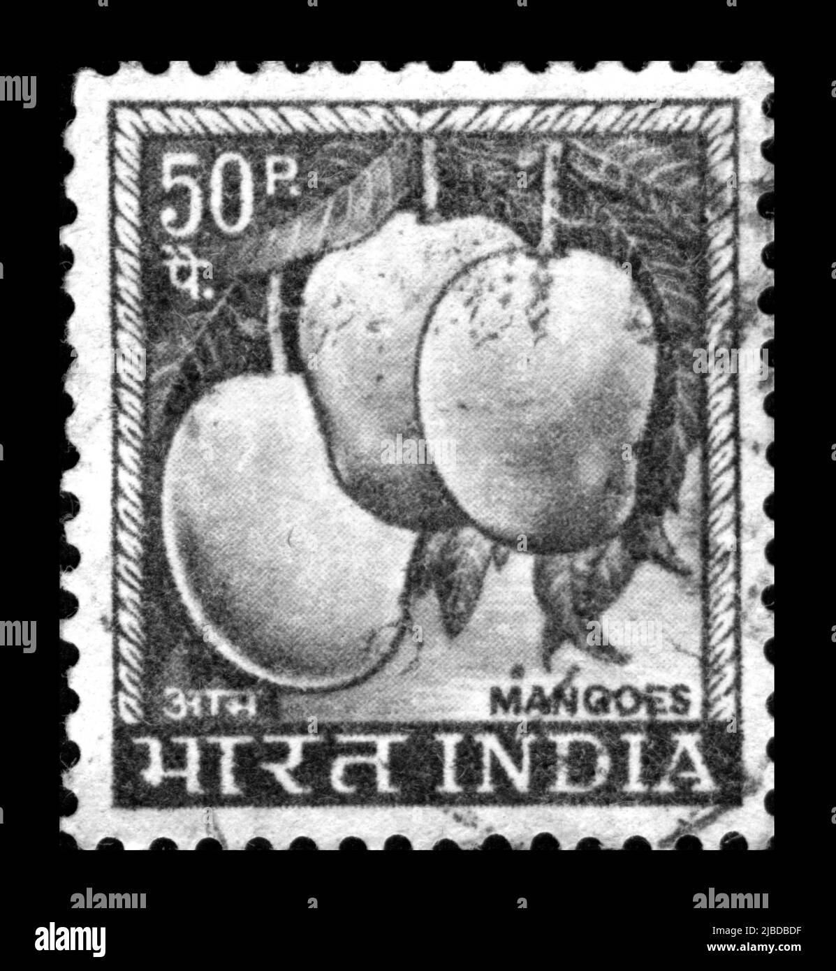 Collecting fruit Black and White Stock Photos & Images Alamy