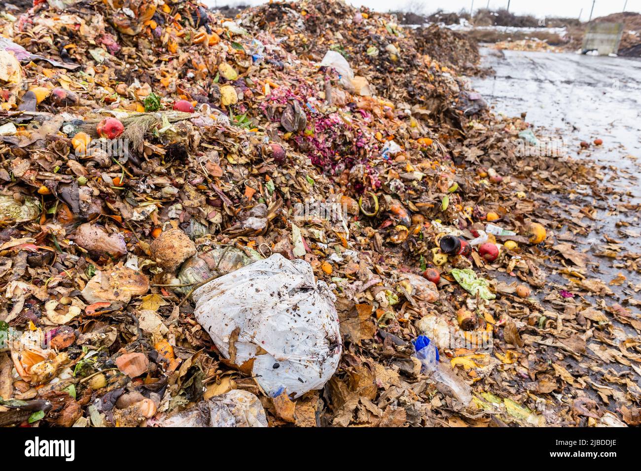 Plastic bag among organic waste heap at compost sorting and recycling