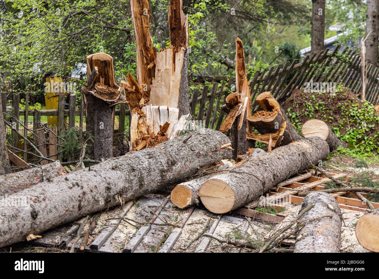 Devastation in a small village after a powerful storm with hurricane strength winds bring down trees and destroy fences. Copy space on both sides. Stock Photo