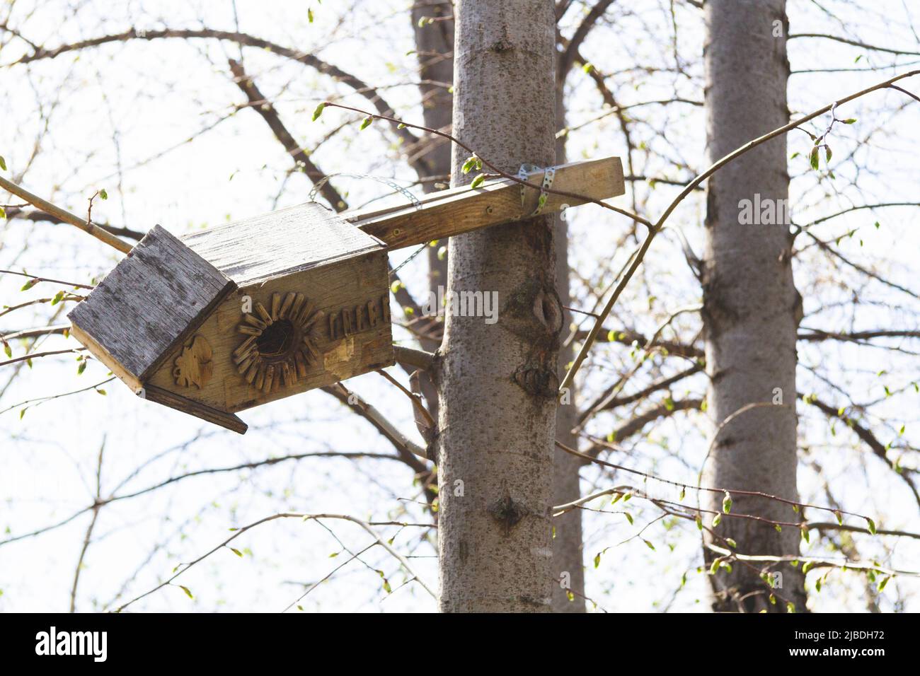 Bird feeders. Feeding birds in the forest. Birdhouse on a tree. Caring