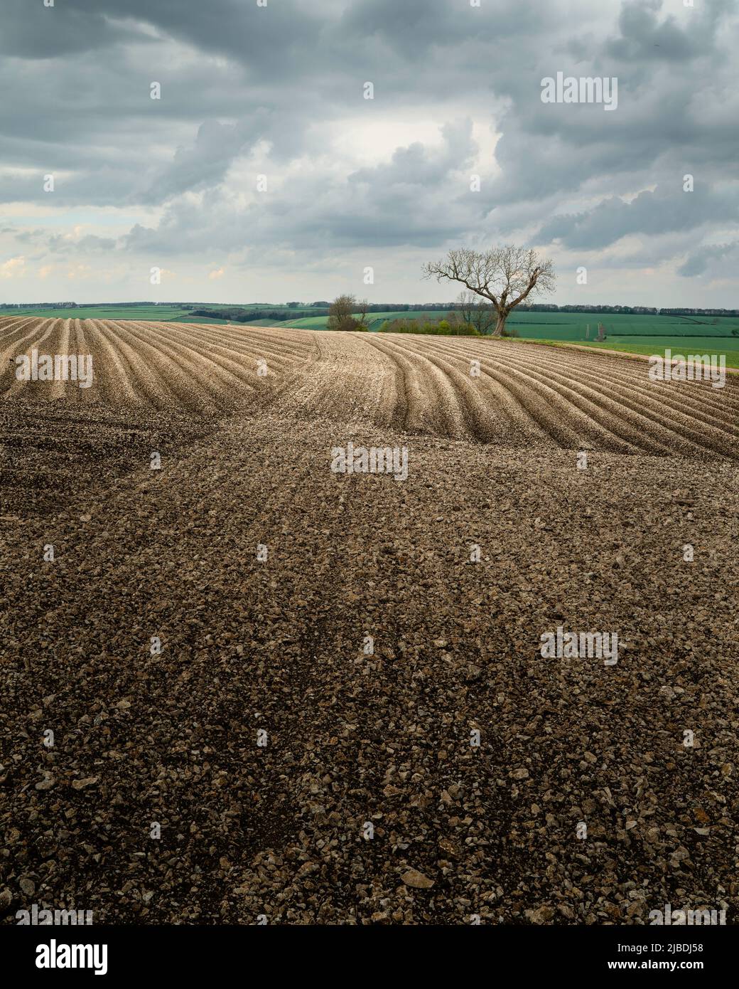 Ploughed field and view across the Wolds with tree on the horizon and green fields and clouded sky on a summer day. Yorkshire, UK. Stock Photo