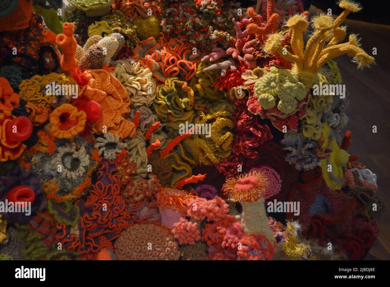 Australian Corals Patterns Crocheted patterns in forms of Corals in various colours Stock Photo ...