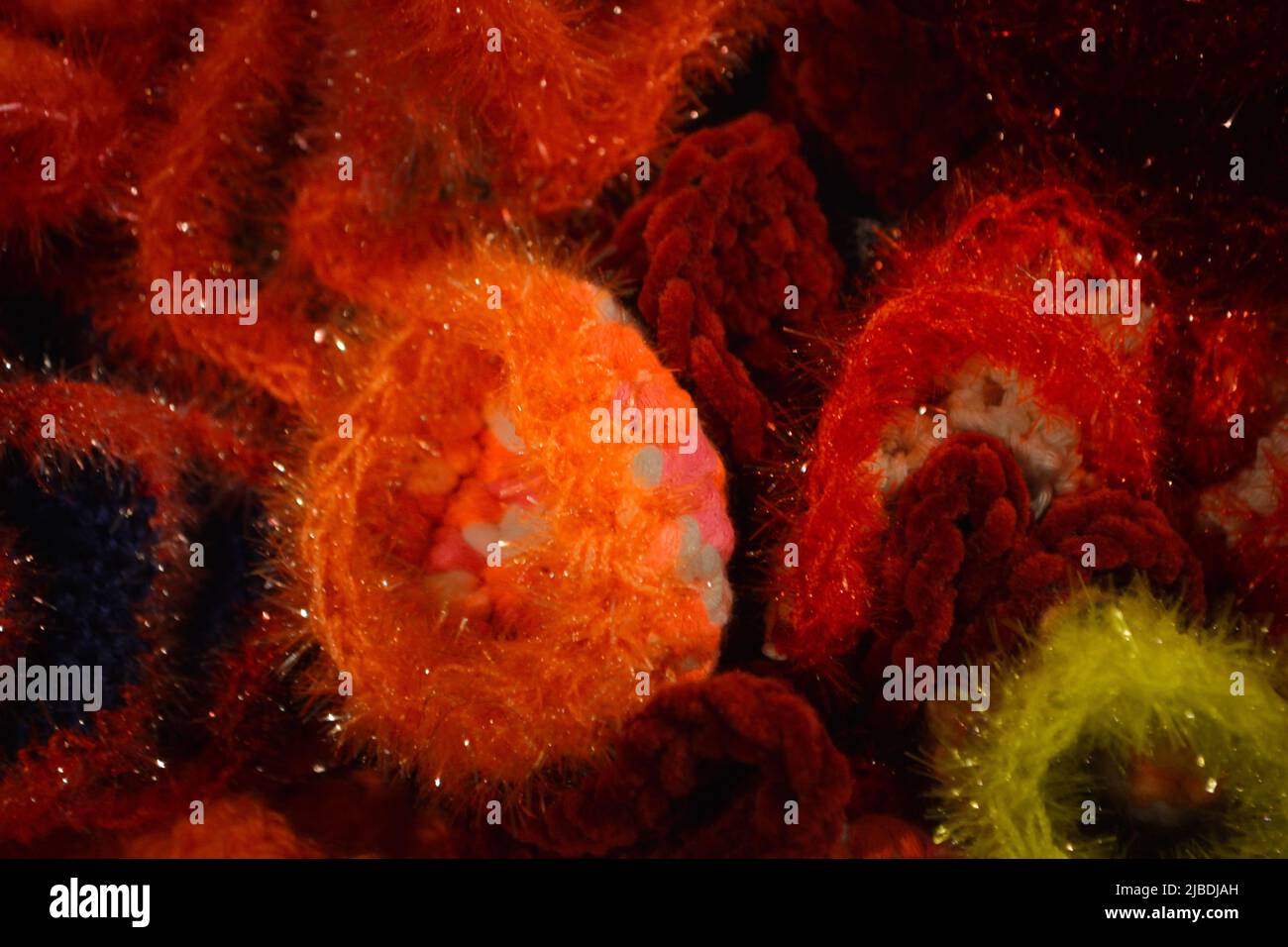 Crocheted patterns in forms of Corals in various colours Stock Photo