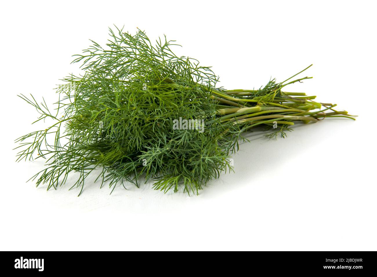 Green fresh dill isolated on white Stock Photo