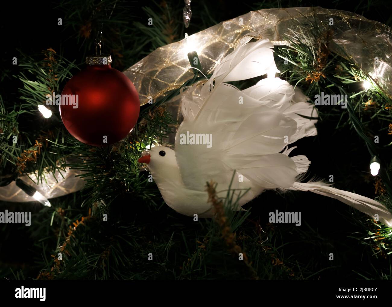 christmas decoration scene with a white dove on a christmas tree with christmas lights and a red christmas ball Stock Photo