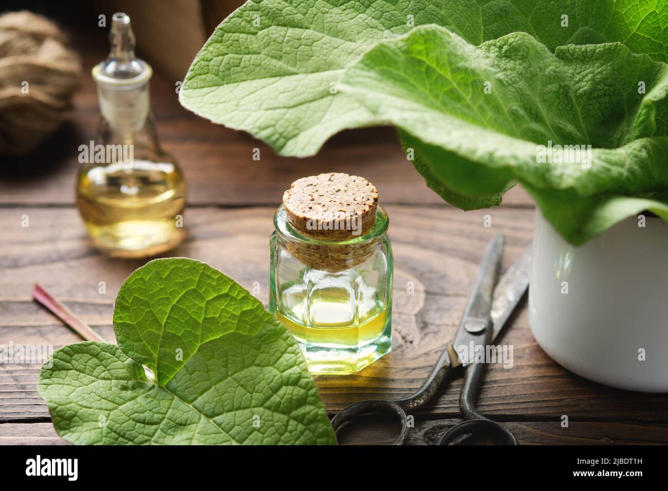 Bottles of Burr oil and Burdock infusion or tincture. Leaves of arctium lappa - latin name for Burdock. Alternative herbal medicine. Hair care. Stock Photo