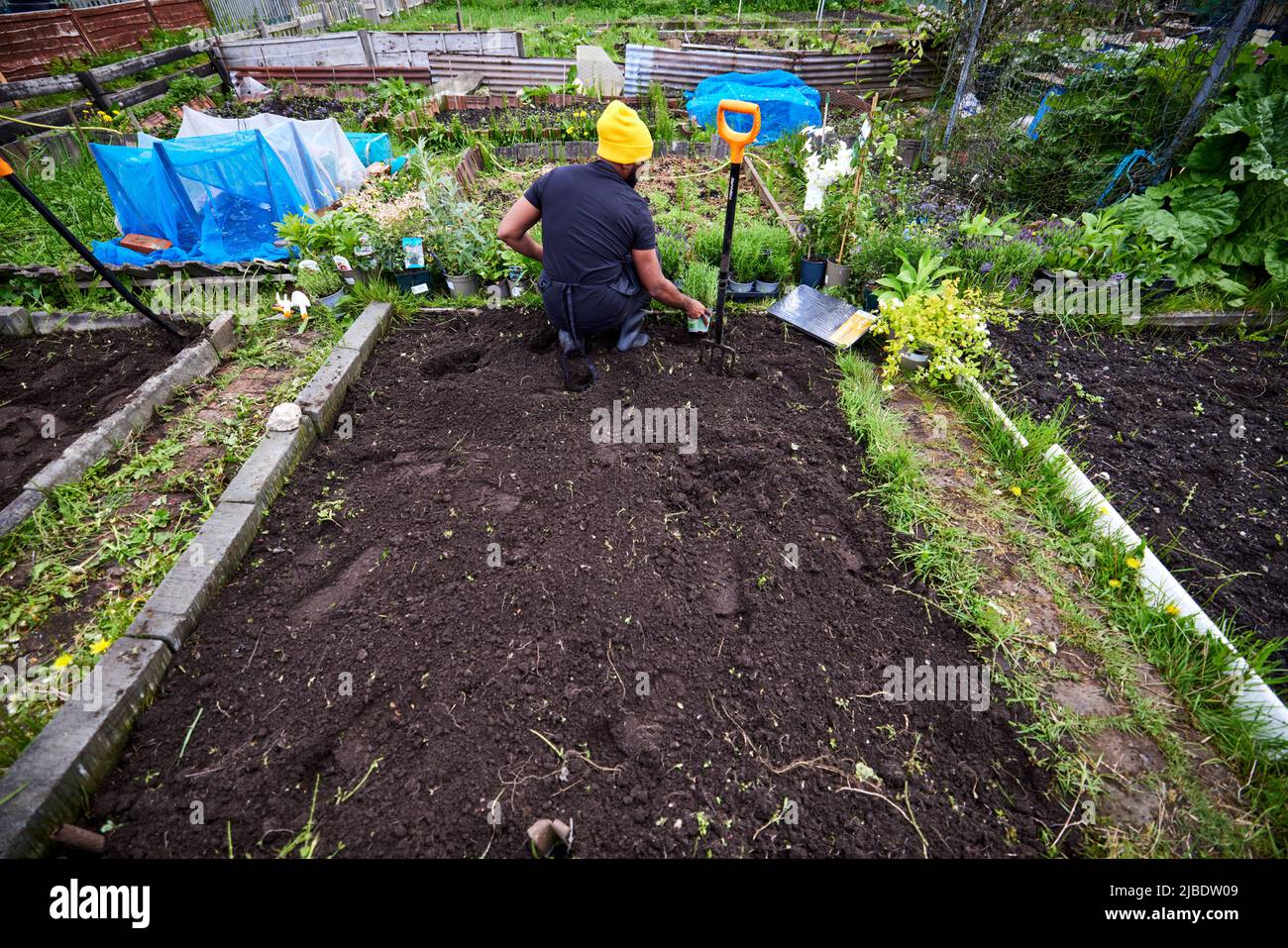 Abbey Hey Allotments, in Gorton, Manchester to make bee friendly gardens for World Bee Day Stock Photo
