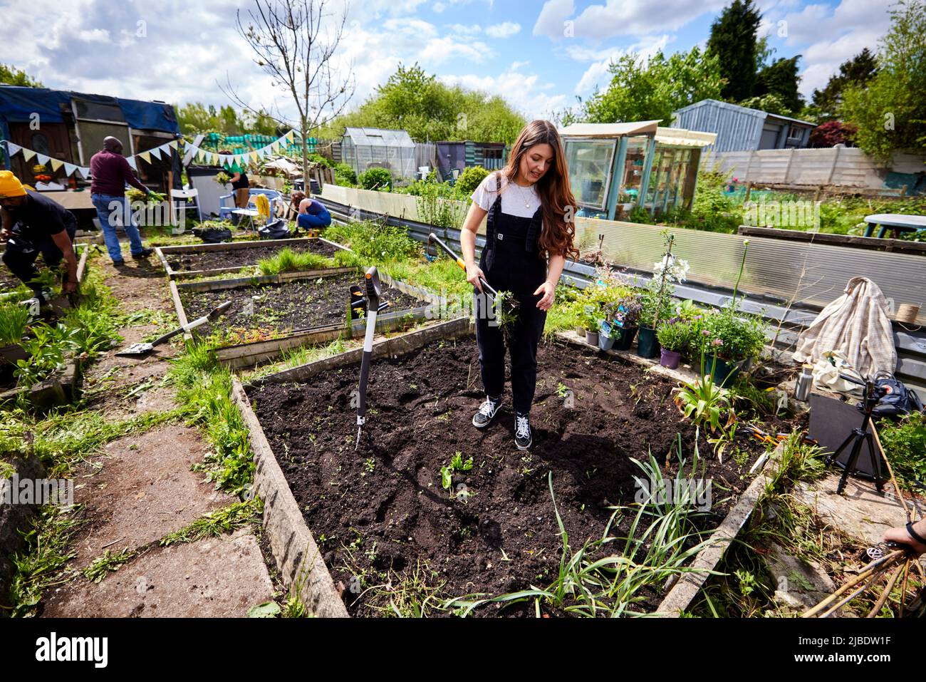 Abbey Hey Allotments, in Gorton, Manchester to make bee friendly gardens for World Bee Day Stock Photo