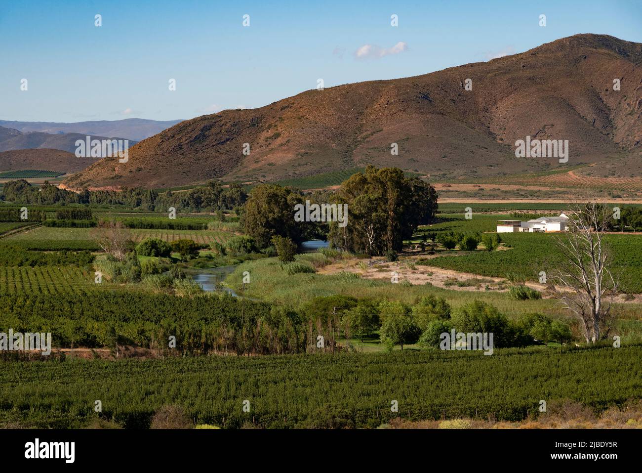 Robertson, Breede River valley, Western Cape, South Africa. 2022. Fruit ...